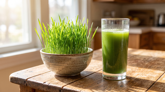 Wheatgrass daily green nutrition - fresh wheatgrass and juice